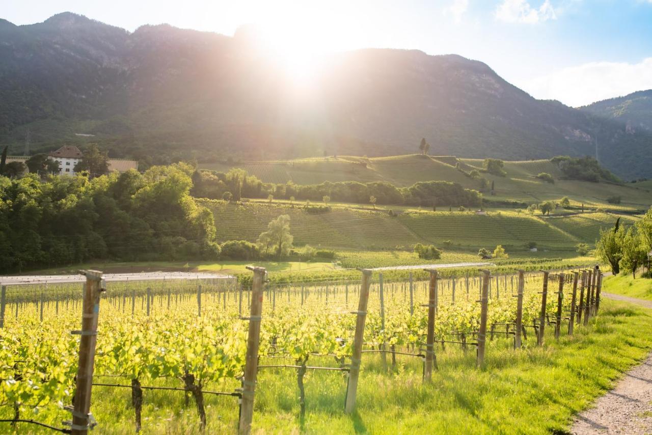 B&B Unterhabsbergerhof Appiano Sulla Strada Del Vino Exterior foto