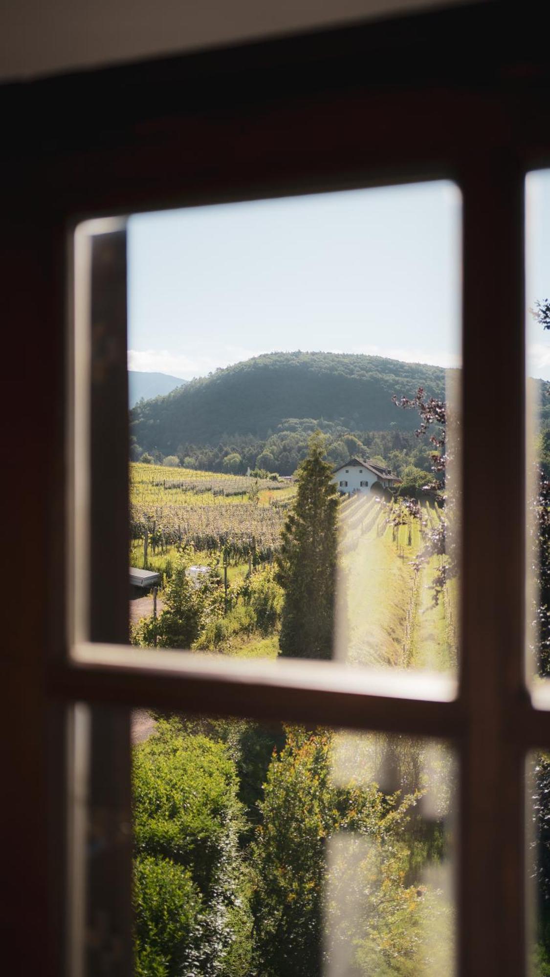 B&B Unterhabsbergerhof Appiano Sulla Strada Del Vino Exterior foto